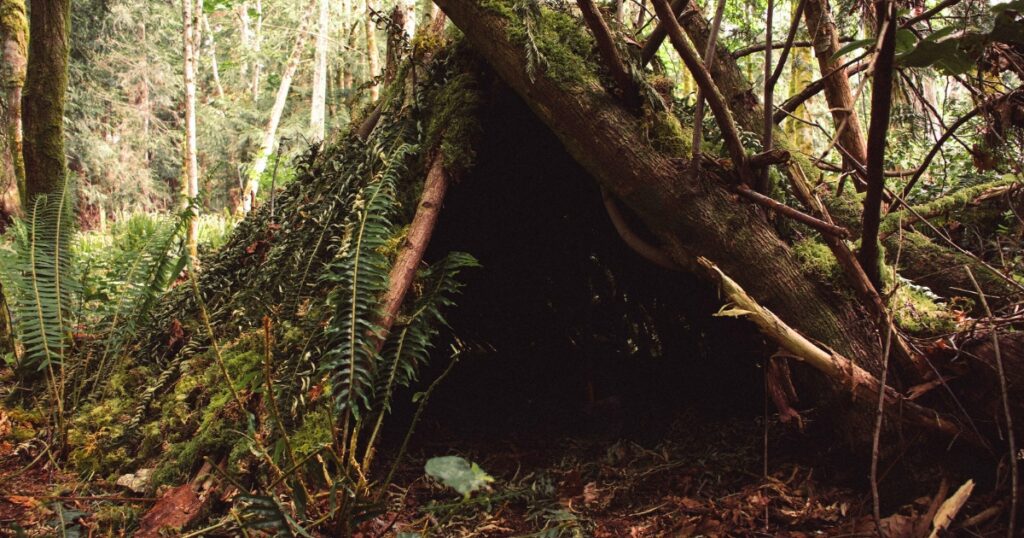 Natural shelter in the jungle survival.